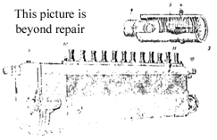Click for larger view of Plate 12